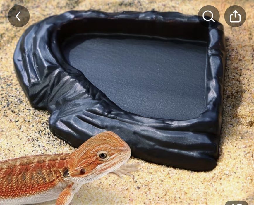 Accesorii terariu NOI