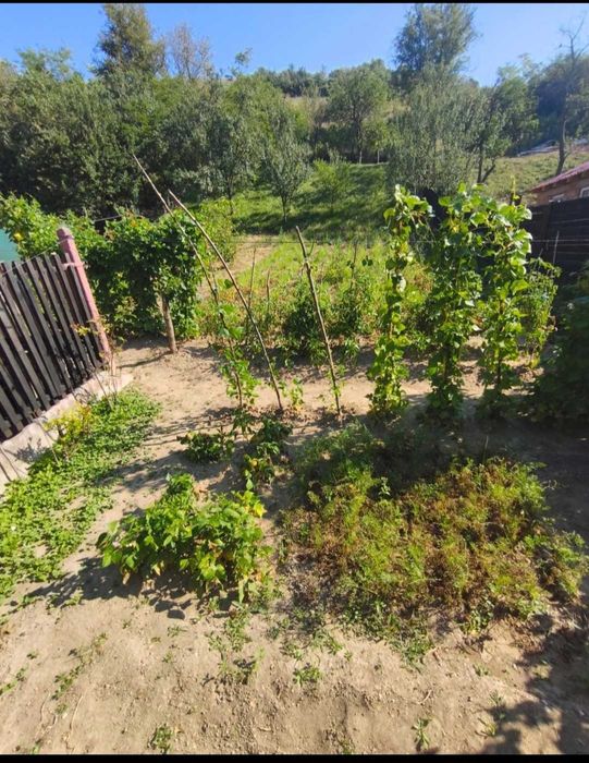 Vânzare  casa în județul  Brașov, comuna Ormenis