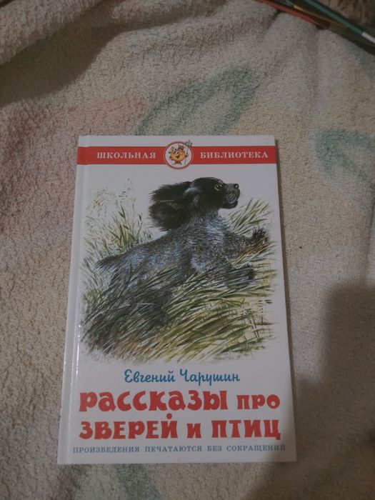 книги для детей/школьников