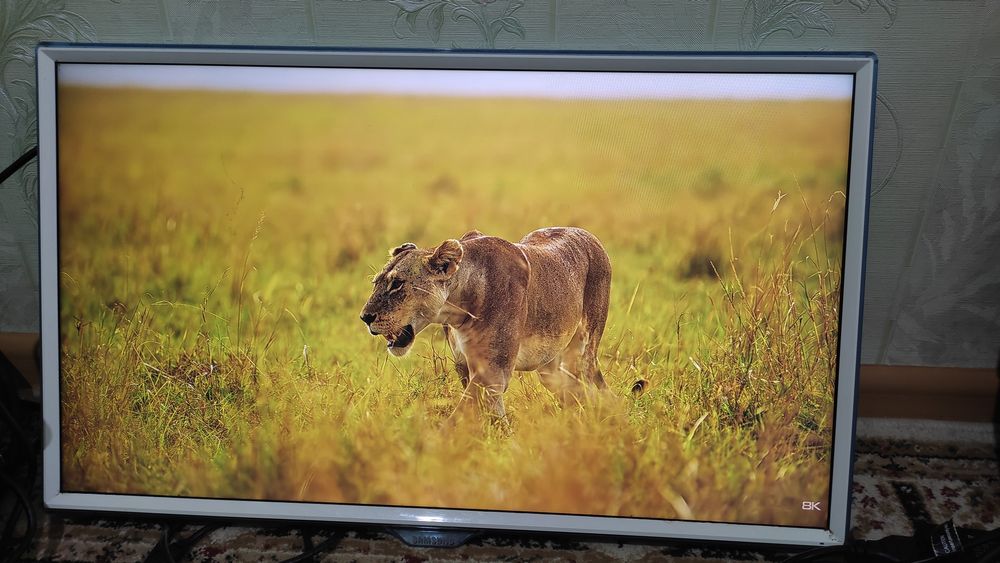 Монитор 24, без ножки