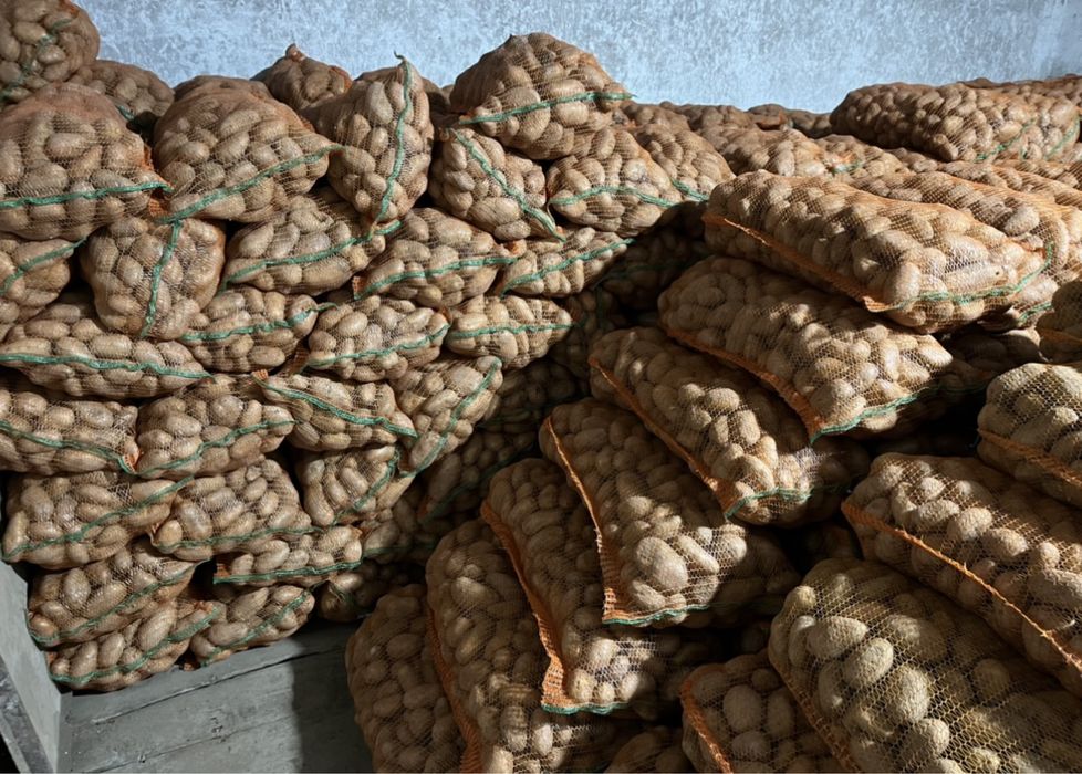 Cartofi de consum alb și roșu-Recent ambalată