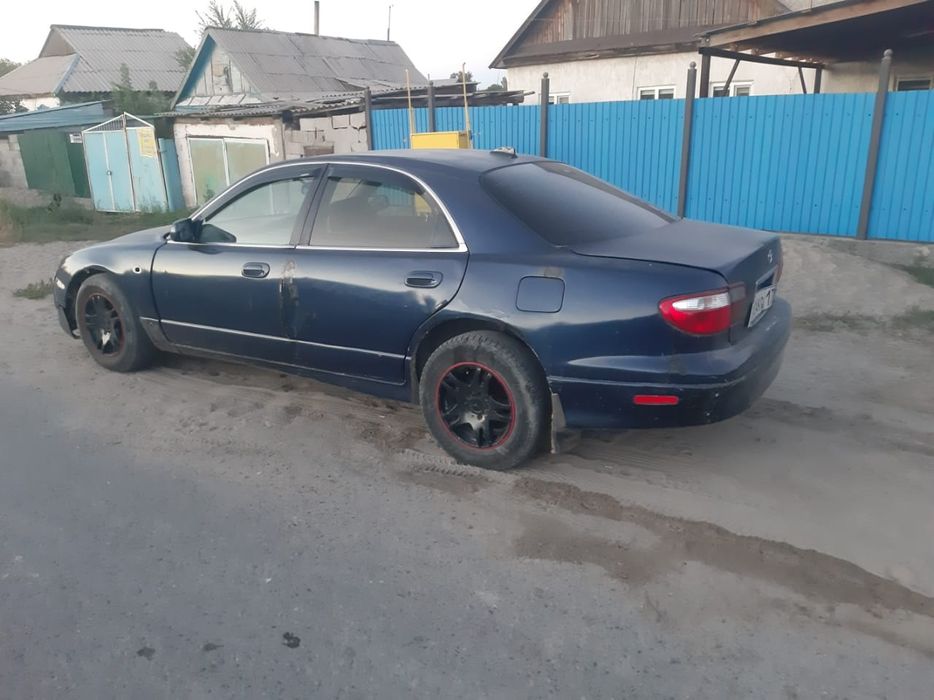 Все вопросы по телефону