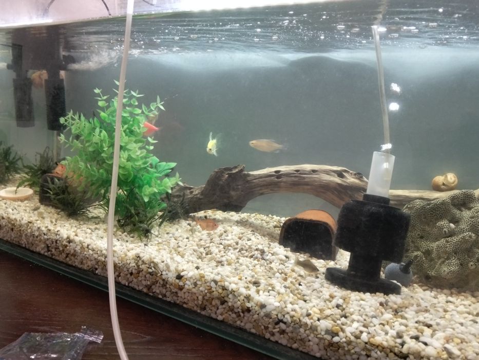 Продам аквариум с рыбками