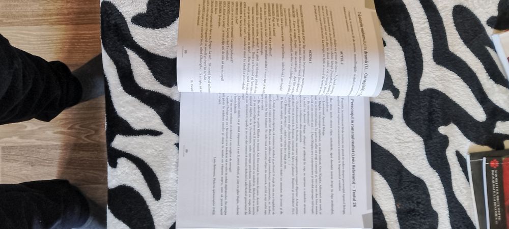 Carte Limba și literatura română bacalaureat varianta 2024