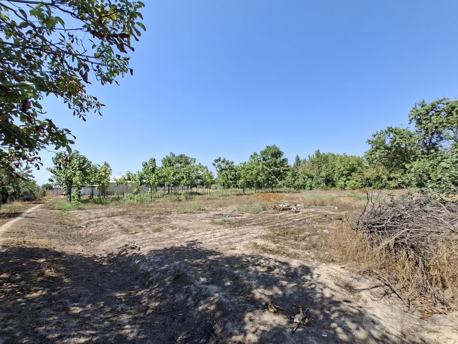 Andijon / Hovli sotiladi
