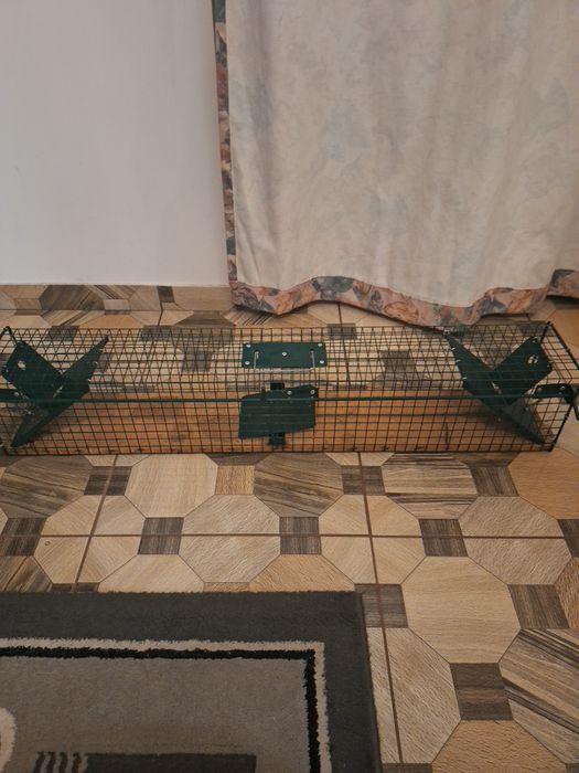 Cusca de prins soareci, sobolani, dijori