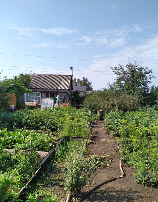 Продам дачу садовое общество кск