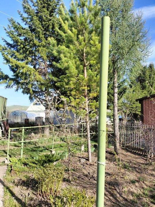 Продам дачу на берегу Иртыша