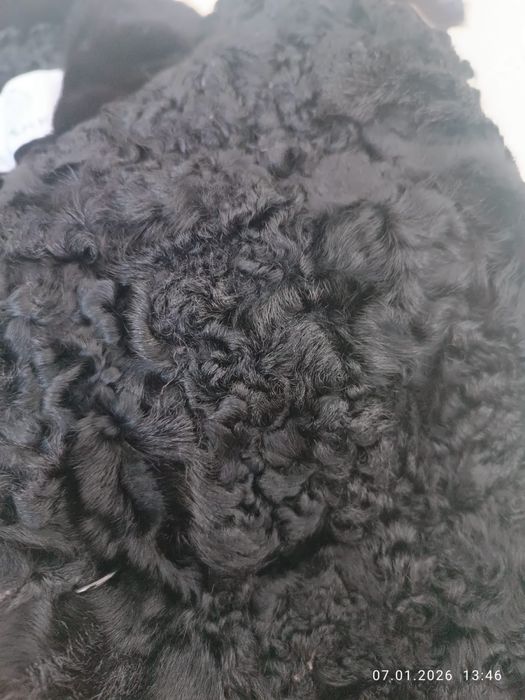 Жилетка каракул + норка