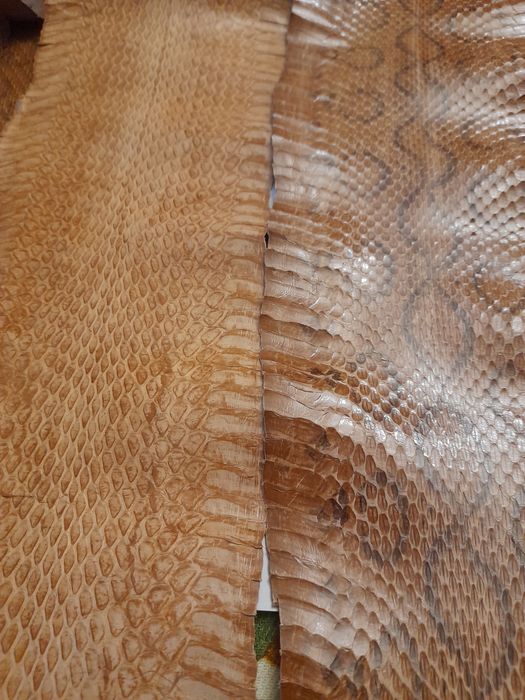 Vând piele tatu și șarpe