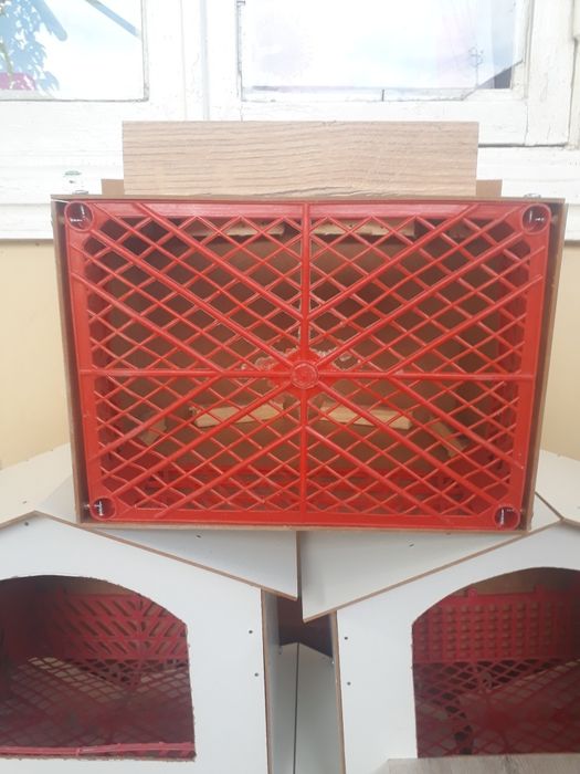 Kaptarlar va yapon tovuqlar uchun gnizdolarimiz bor