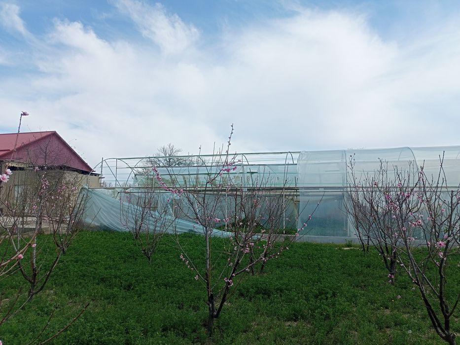 Парник 6 сотокли