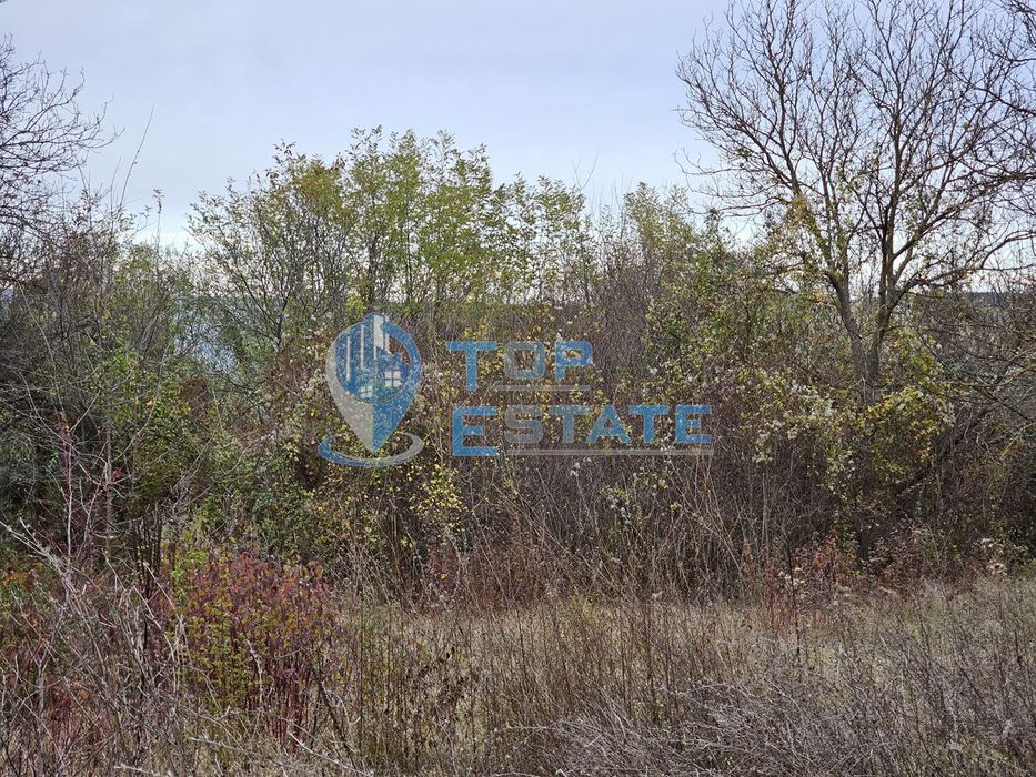 Продава се Парцел в с. Пушево, Област Велико Търново - 1150 кв.м за 10 €/кв.м - Снимка #2