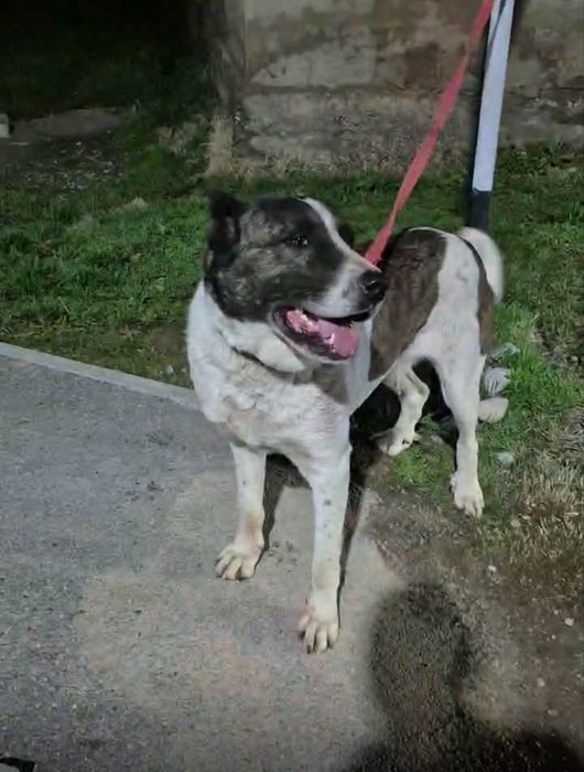 Ургашы сатылады