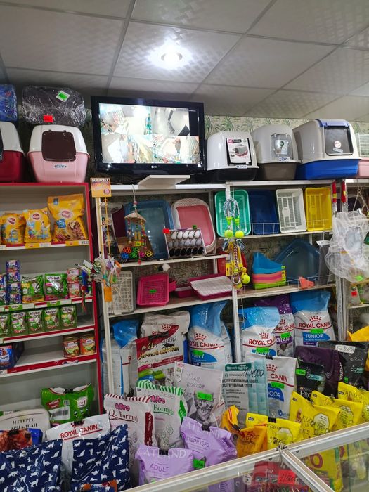 Товары для животных