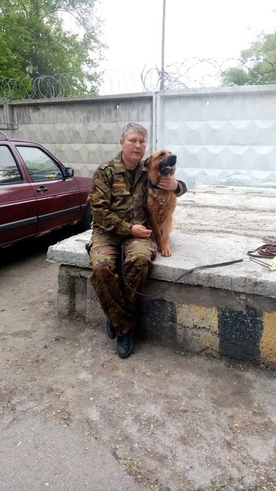 Дрессировка собак