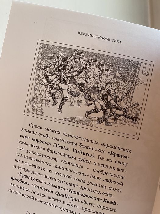 Гарри Поттер, Квиддич сквозь века