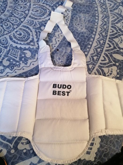 Vesta karate Budo Best