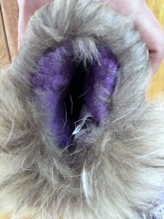 Боти, ботуши, апрески