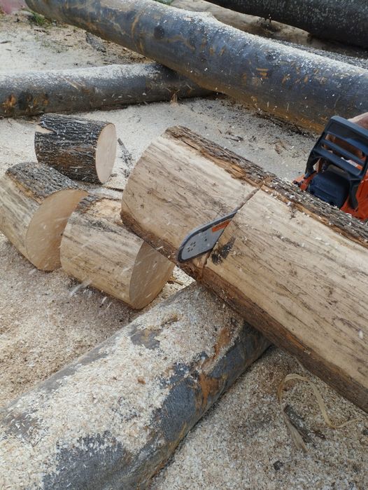 Lemne de foc fag capete doar uscate 600 lei tona