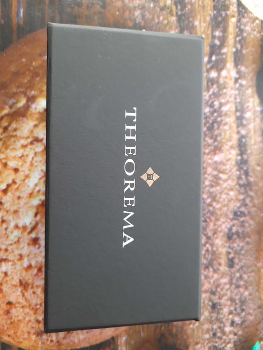 Мъжки оригинален часовник THEOREMA