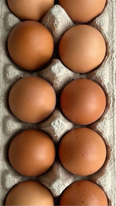 Яйцо куринное домашнее