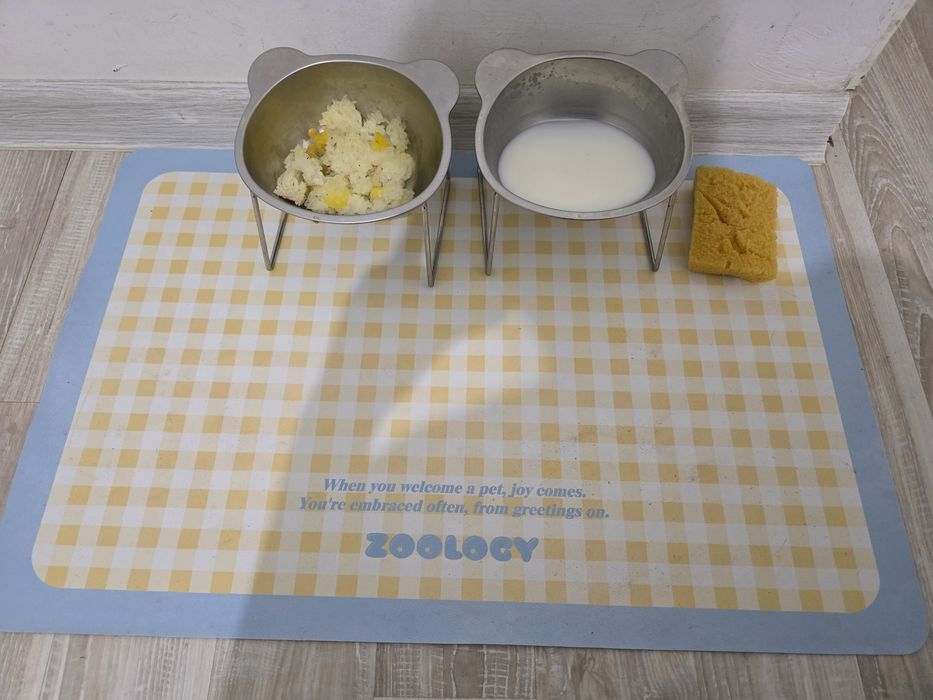 Мысық сатамын барлық заттарымен