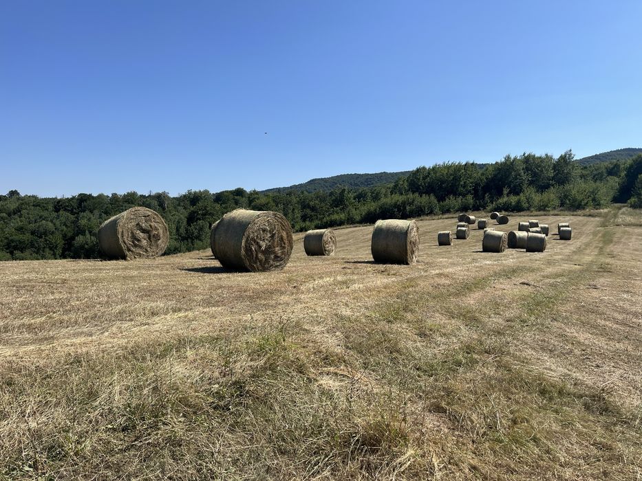 Baloți rotunzi fân pe plasă