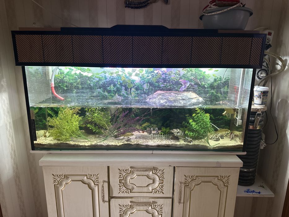Аквариум продам 220 литров