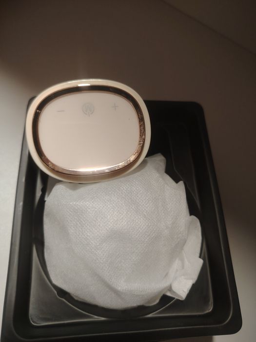 Молоотсоз розовый