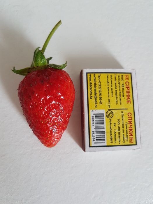 Продам рассаду клубники