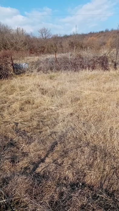 Teren intravilan 1200 mp  Gura Ocnitei