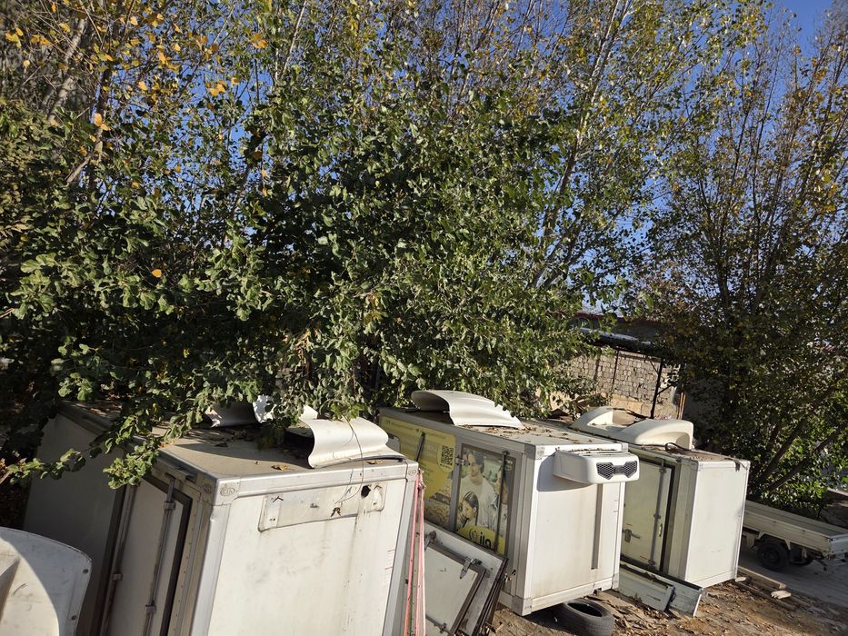 Кия хундай карона сотилади