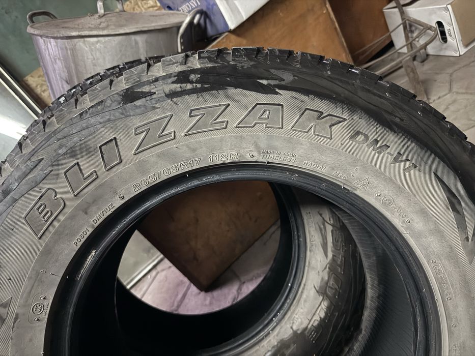 Шины Bridgestone Blizzak DM-V1