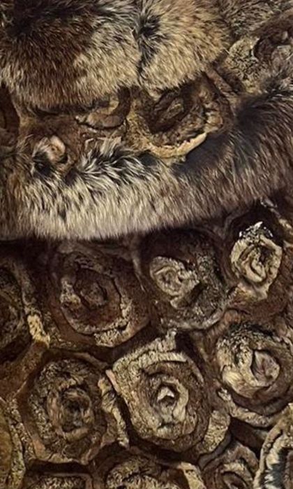 Haină de blană deosebită