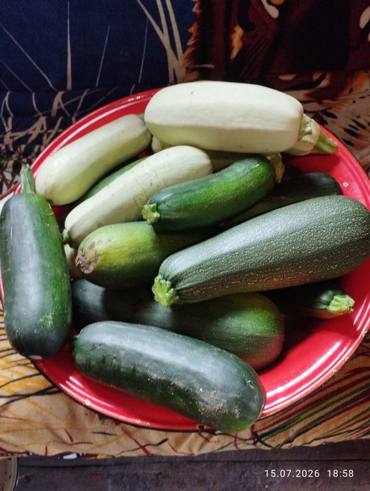 Продам домашние кабачки.