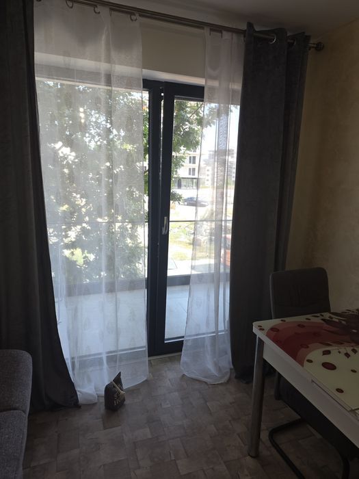Chirie apartamente