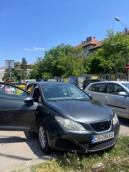 Seat Ibiza 2010