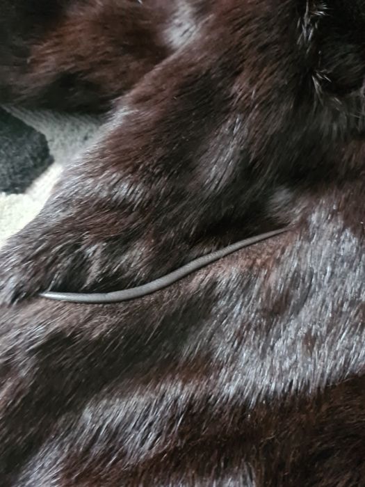 Шуба нутриевая, пиджак кожаный