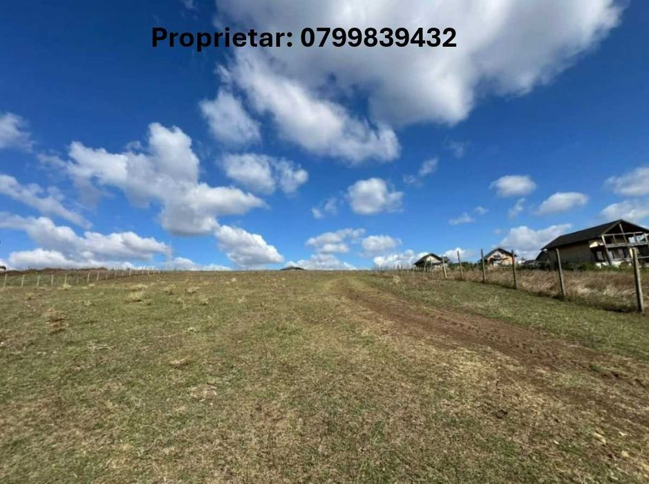 Proprietar - Teren intravilan 954 mp –  Dumbrava, Iasi.