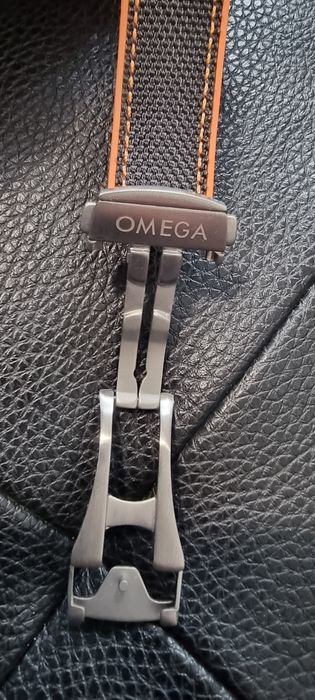 Omega Seamaster Professional Ocean Planet