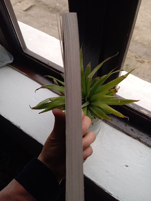 Destination C1  & C2