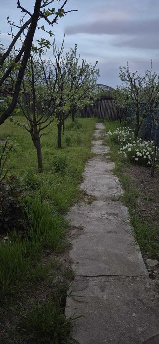 Vand casuta mica si cocheta