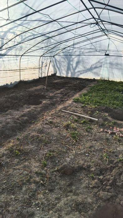 Parnika gap yo ishlatyapmiz salafani butun yertilmagan juda ajoyip