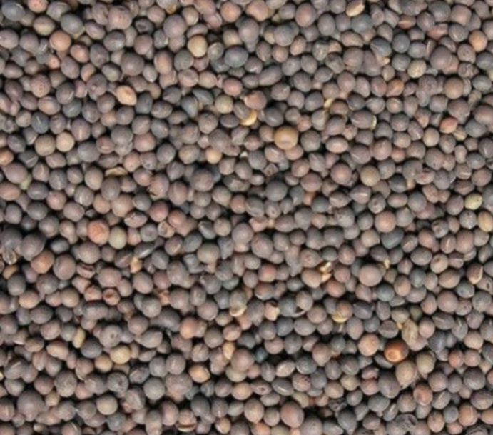 Samanta Măzăriche pt Borceag de primavara