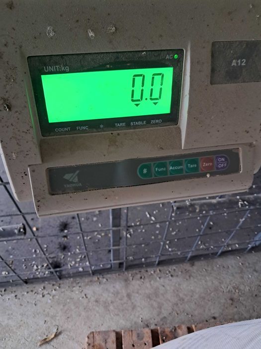 Vand lada cu cantar pentru animale