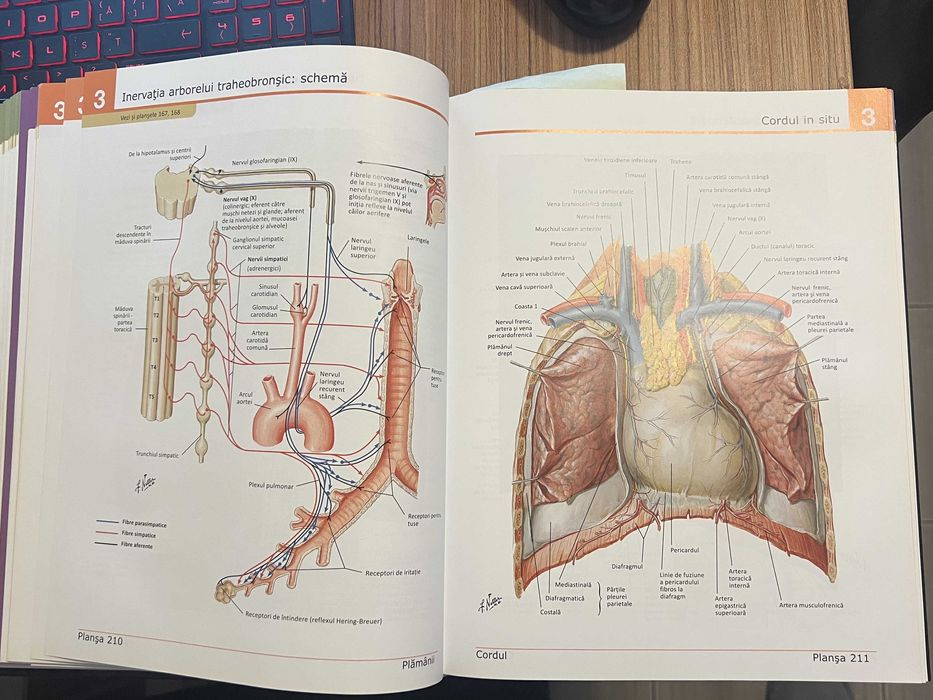 Atlas de Anatomie a Omului editia a 4-a