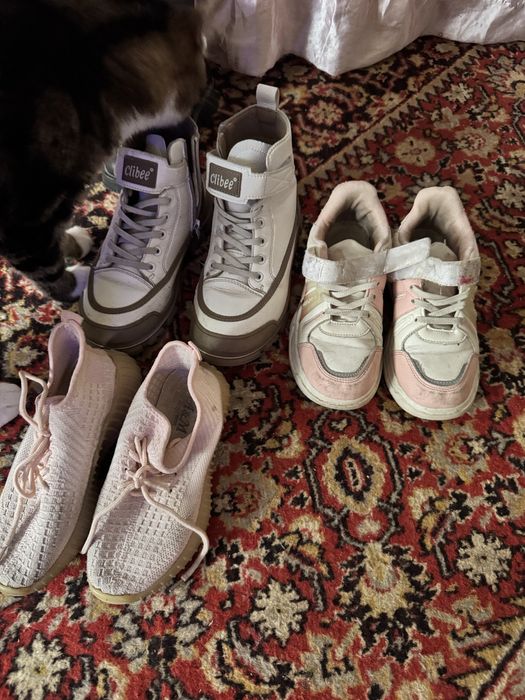 Отдам за фрукты для ребенка,