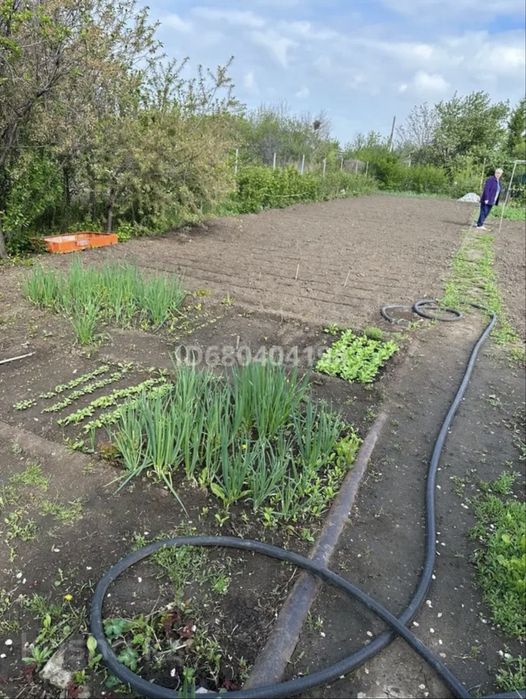 Продам дачный участок с домиком