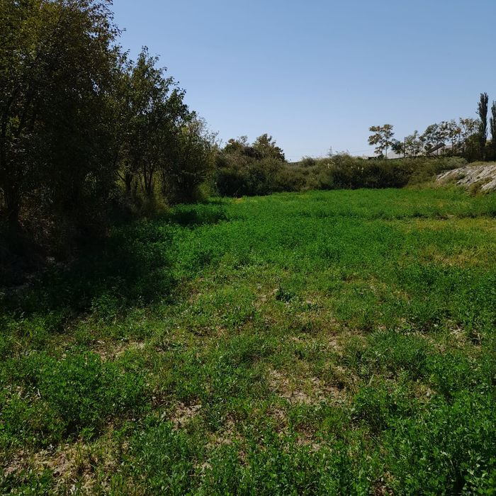 Ер участкаси сотилади запчаст бозор оркаси